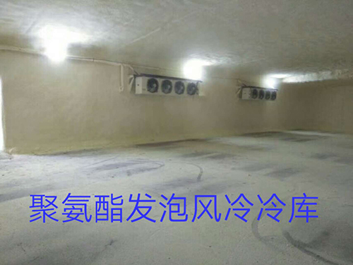 冷庫產(chǎn)品 