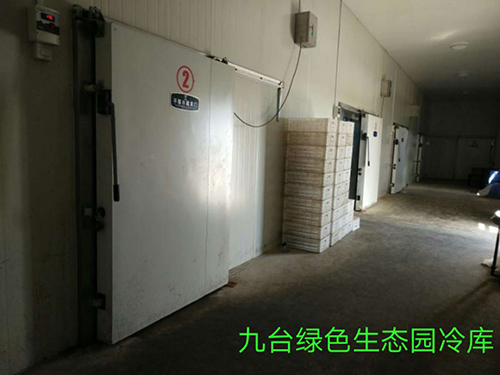 案例展示 