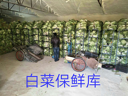 冷庫產(chǎn)品 