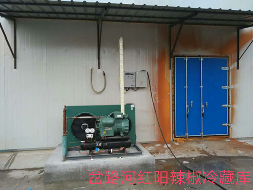 案例展示 