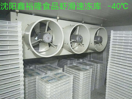 案例展示 