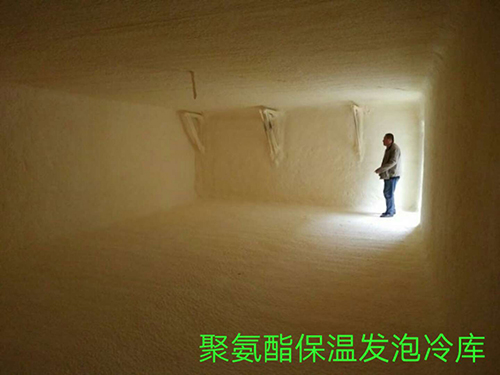 案例展示 