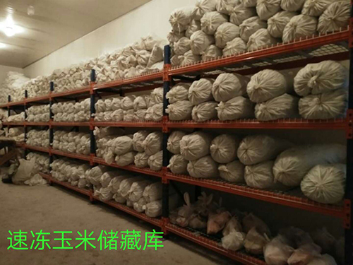 案例展示 