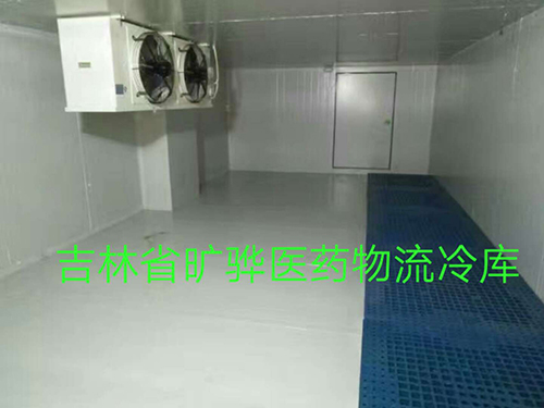 案例展示 