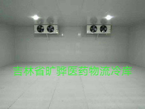 案例展示 